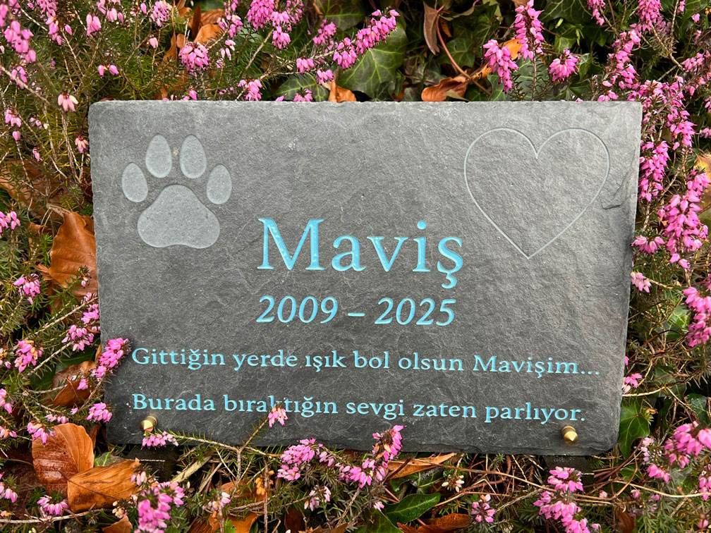 pierre tombale animalière en ardoise pour chat